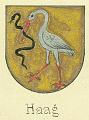 Haag