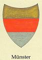 Muenster