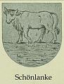 Schoenlanke