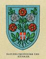 Blumenbinder